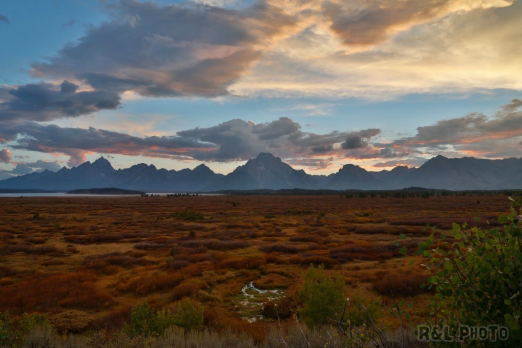 Yellowstone{日期 (YYYYMMDD)}-337